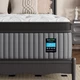 Medium Firm Queen Mattress 14 Inch, Deep Sleep Hybrid Mattresses 7-Zone Pain Rel