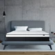 CHEVNI 12" Queen Mattress Medium Firm Hypoallergenic Matress Queen Bed In a Box
