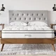 Modway Jenna Innerspring and Foam Mattress, Queen, White